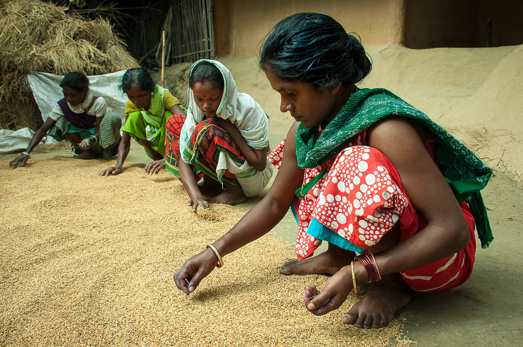 DSC_6625rice.jpg