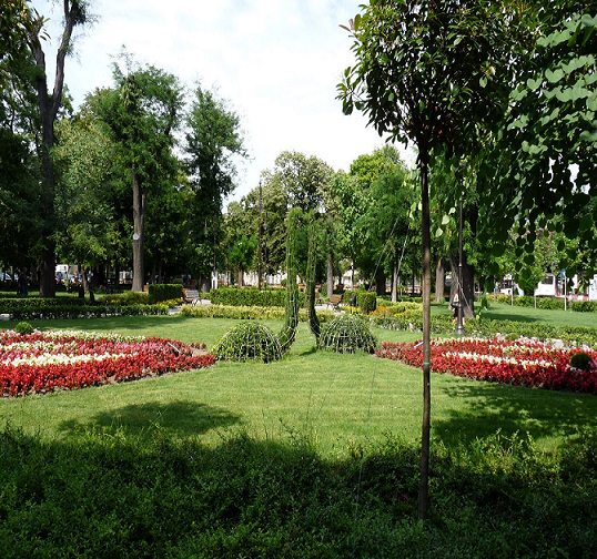 Varna city parc-flowers resized.png