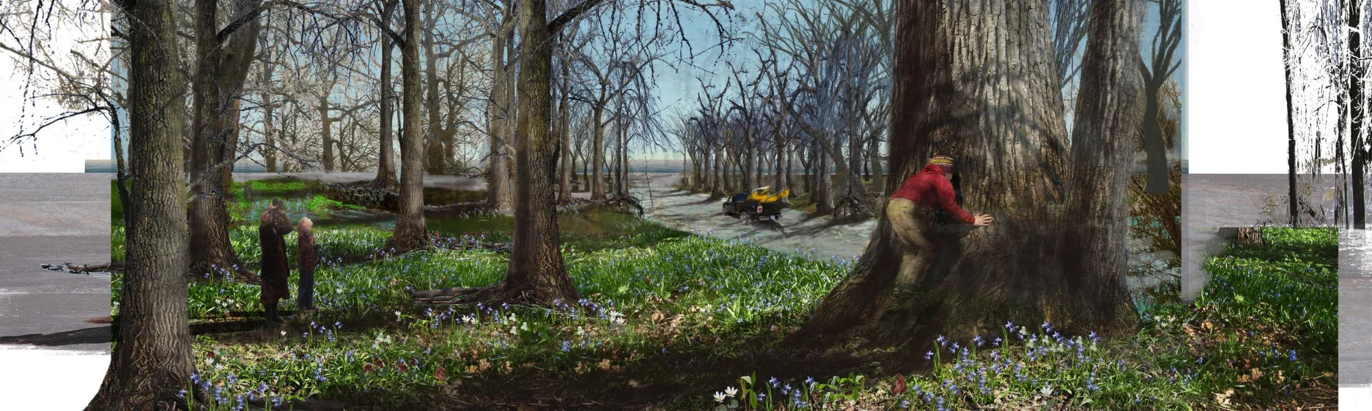 Cotton Wood Road.jpg