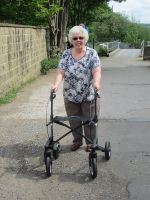 walkers adults.jpeg