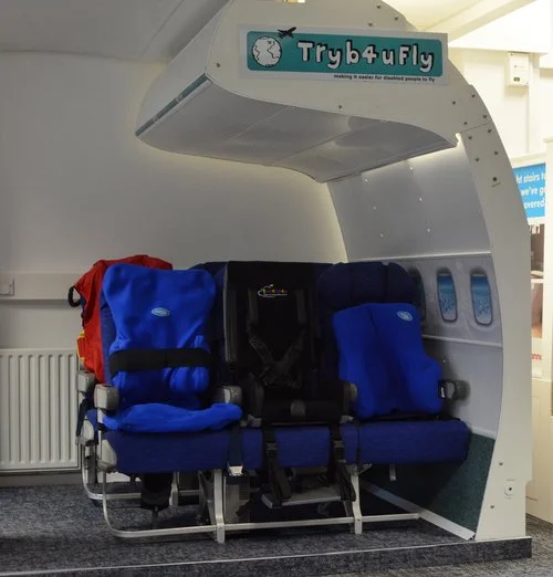 try b4u fly disabled flying.jpg