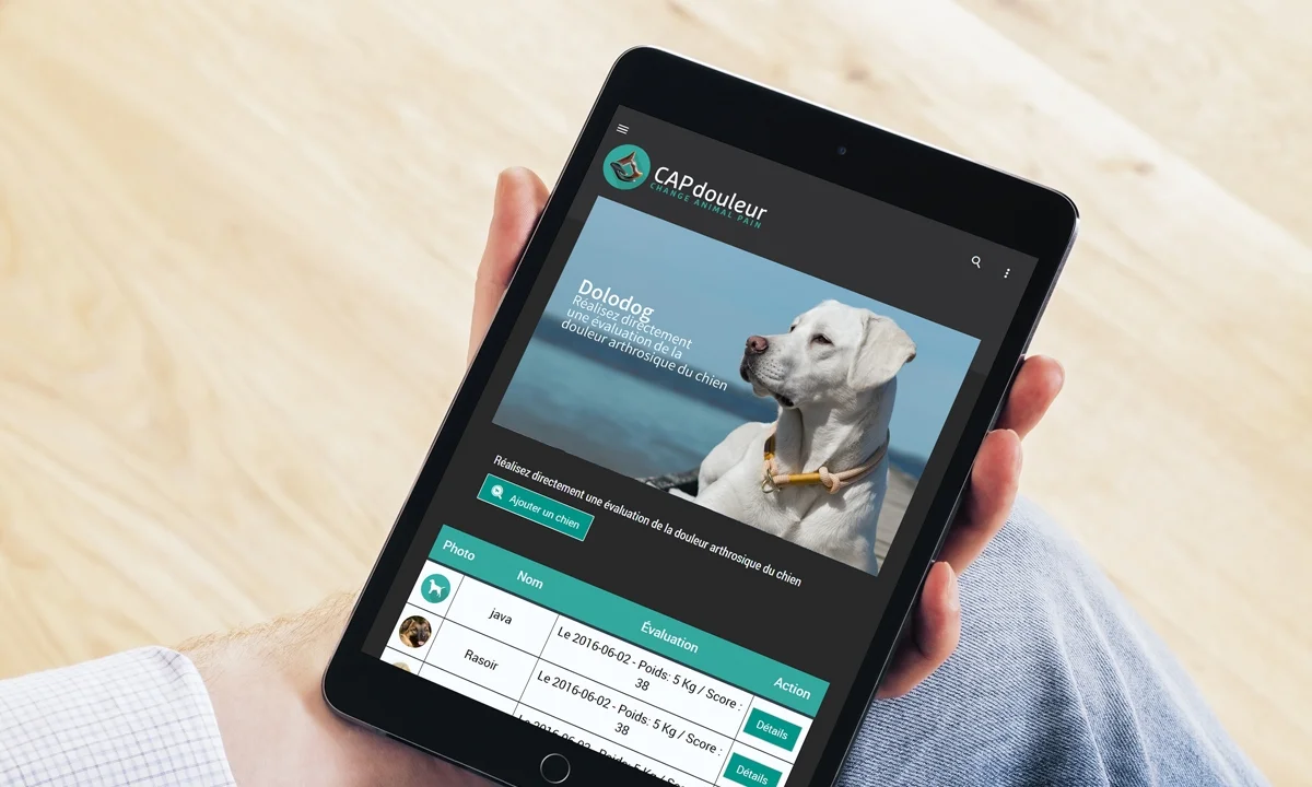 dolodogmockup1.jpg