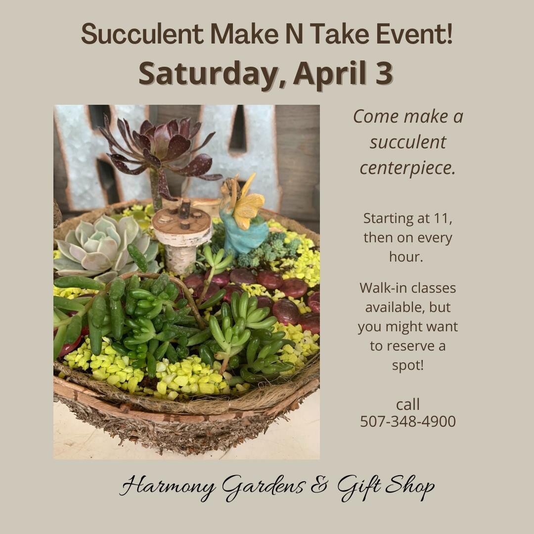 Make N Take Succulent Class Saturday 43/2021 Starting at 11am (then on the hour). Come make up a succulent centerpiece for Easter. Many new fun succulents to choose from! You can just come in and make one, but you might want to set up a time slot. 📞