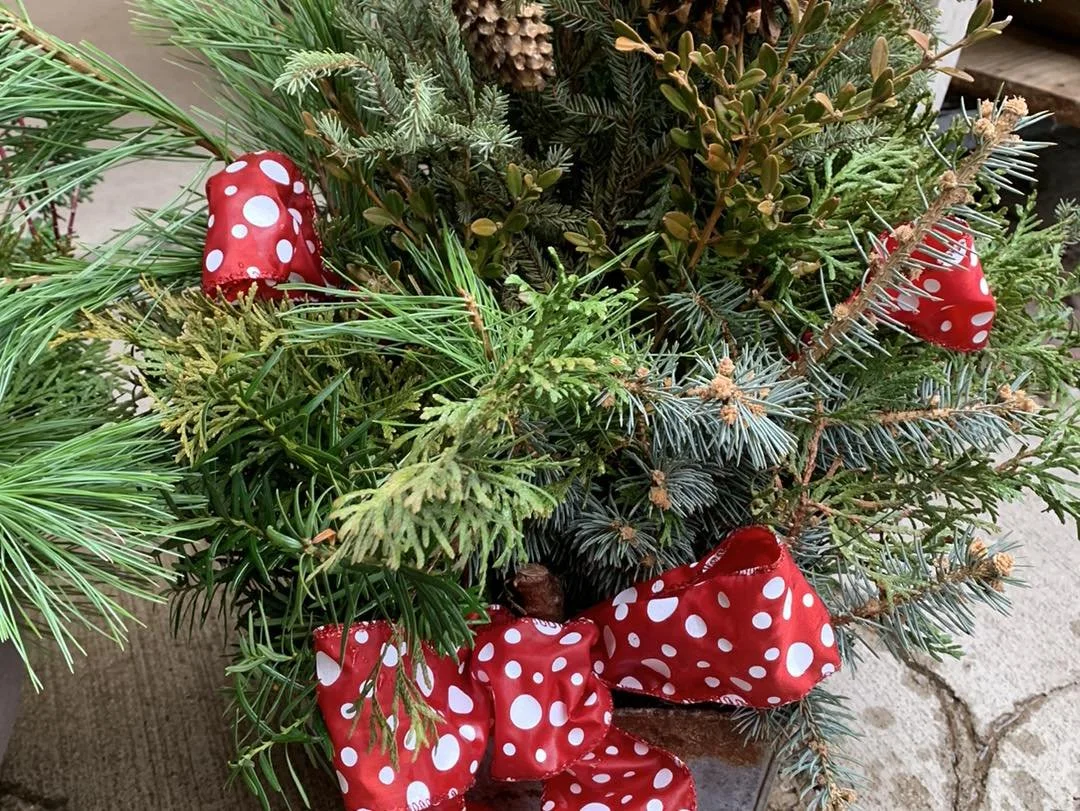 Winter Greenery Containers Workshop