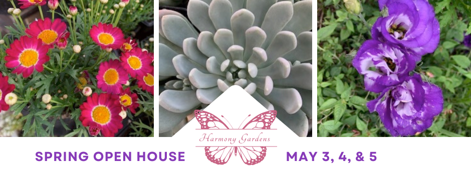 Spring Open House   