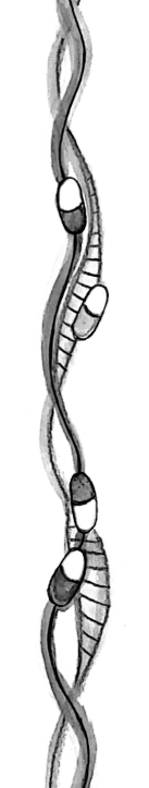 UDKAST FRA KOMMENDE DIGTSAMLING