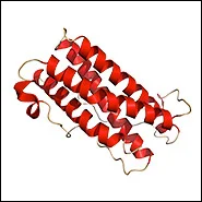 Until now, it has not been possible to deliver LIF (Leukaemia Inhibitory Factor, a small reparative protein) directly into the sites of inflammation and neuronal damage. LIFNanoRx, for the first time, makes such targeted delivery possible.