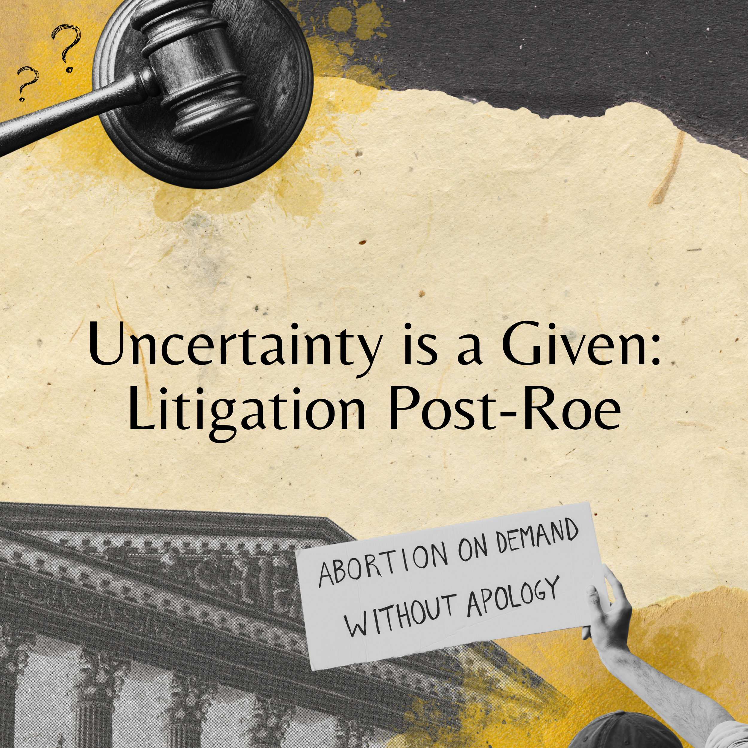 Uncertainty is a Given: Litigation Post-Roe