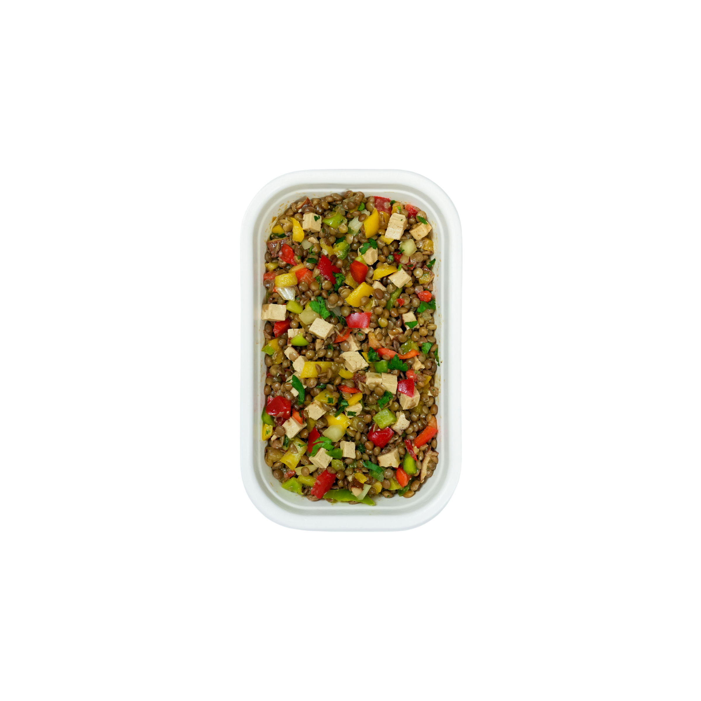 LENTIL TOFU 2P.png