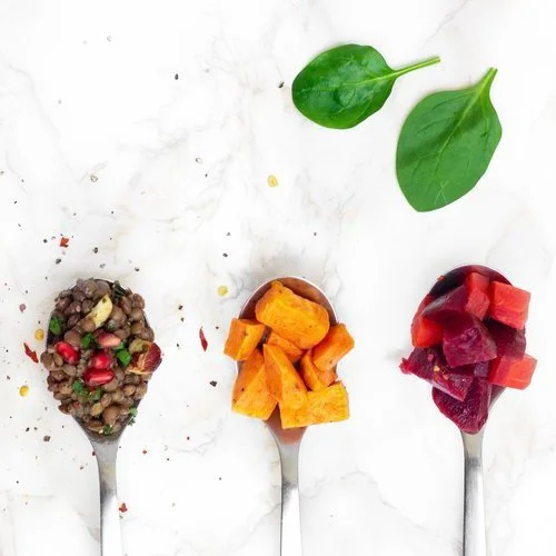 About Us — Rawdish Bio, Healthy, Go! Rawdish Bio 100 Organic