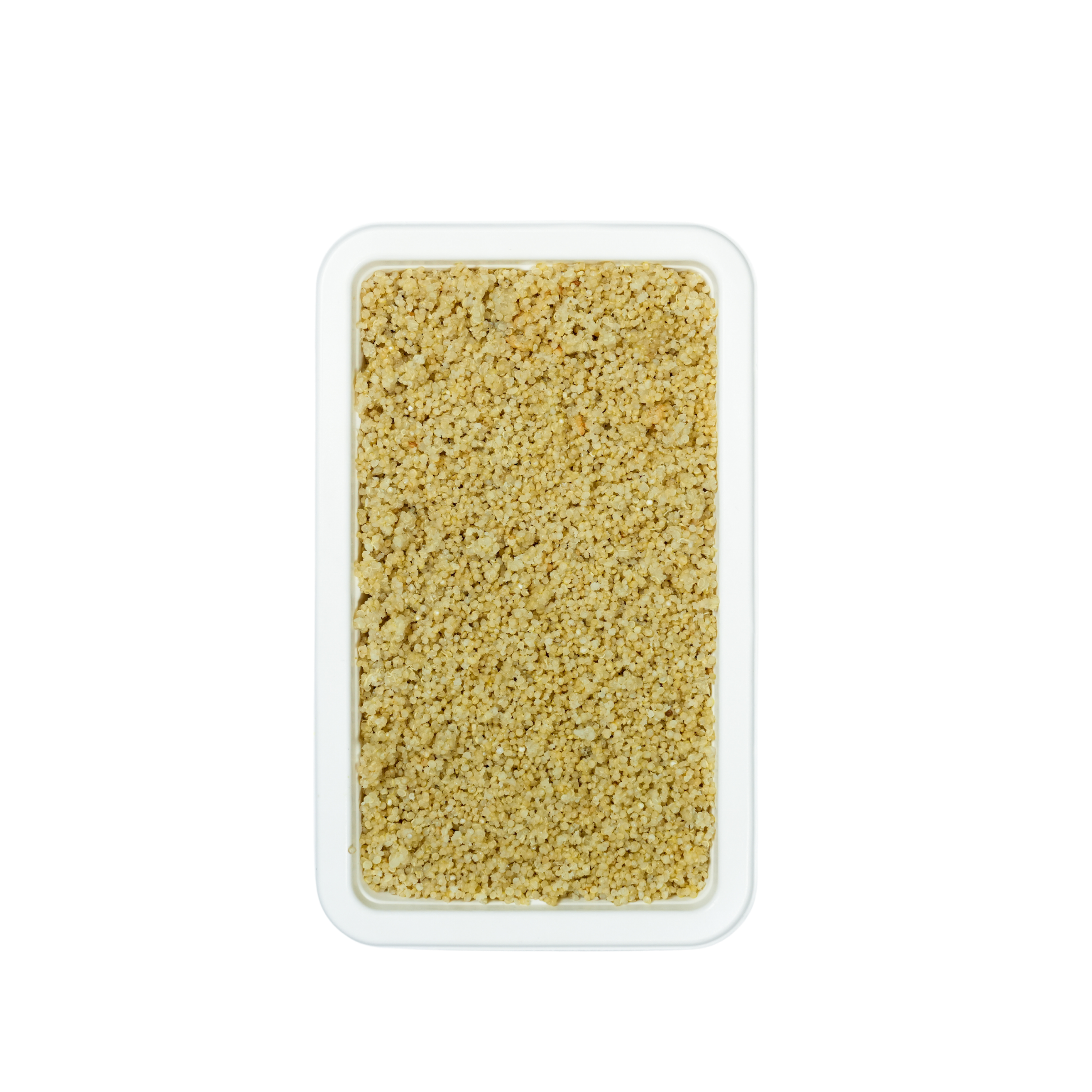 QUINOA BLANC CUIT 6-7P.png