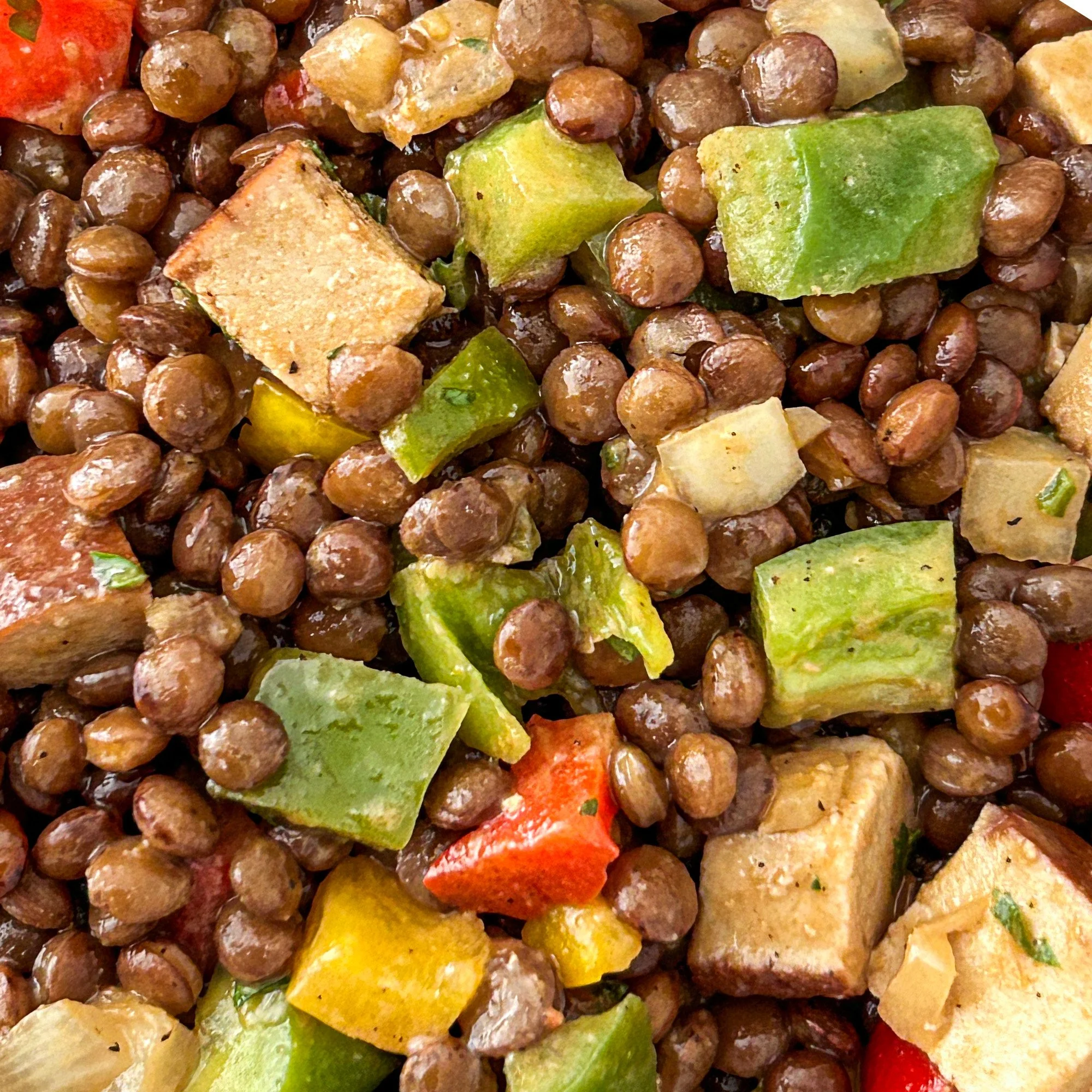 LENTIL TOFU 3.jpg