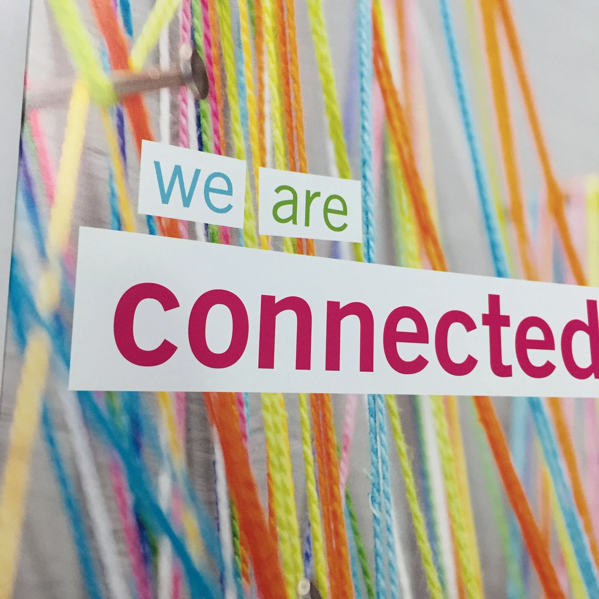 Broken-Fence-Robyn-Colangelo-RotmanCommerce_AnnualReport-2015-16-cover.jpg