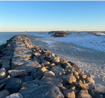 Here’s to The Underdogs