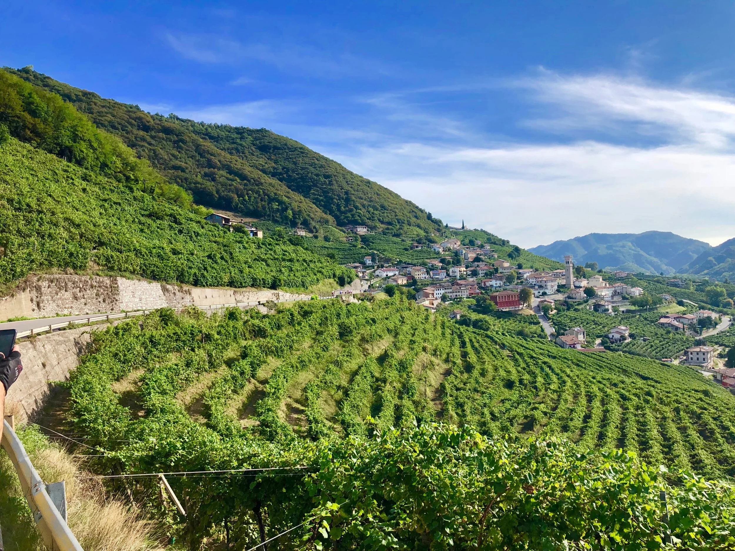 Procecco wine region - bassano del grappa