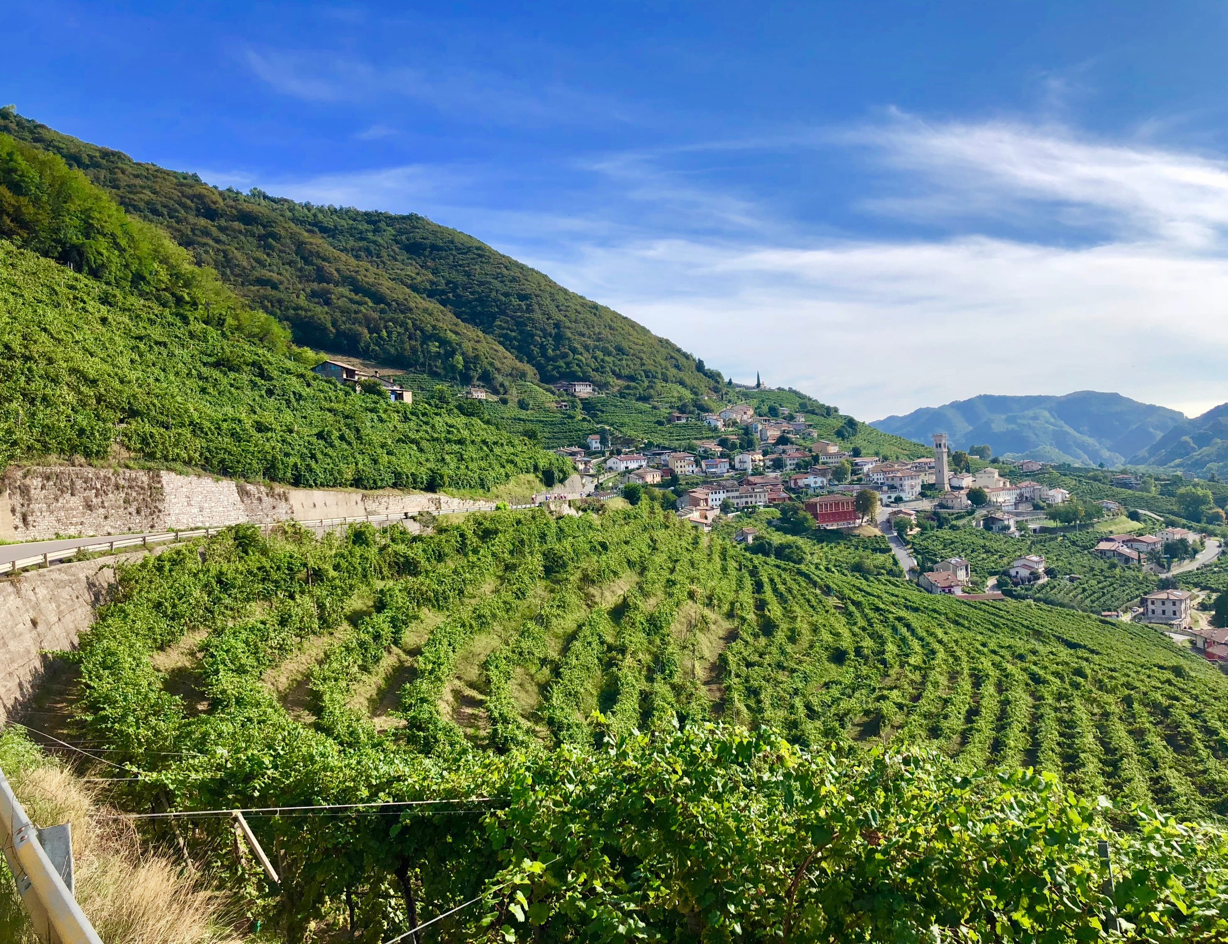 The Procecco wine region provide many spectacular scenes during our rides