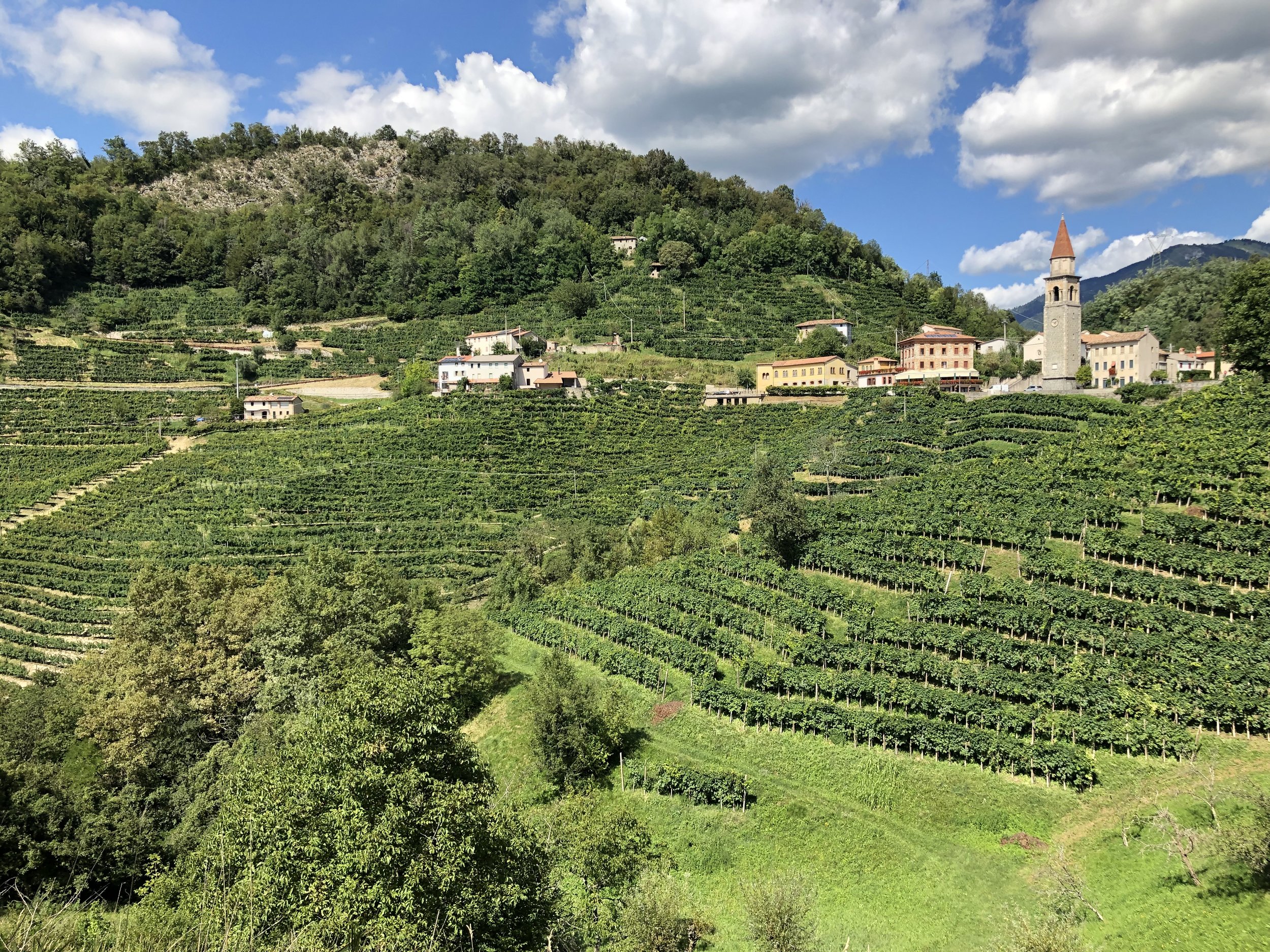 Proseccho Wine Region