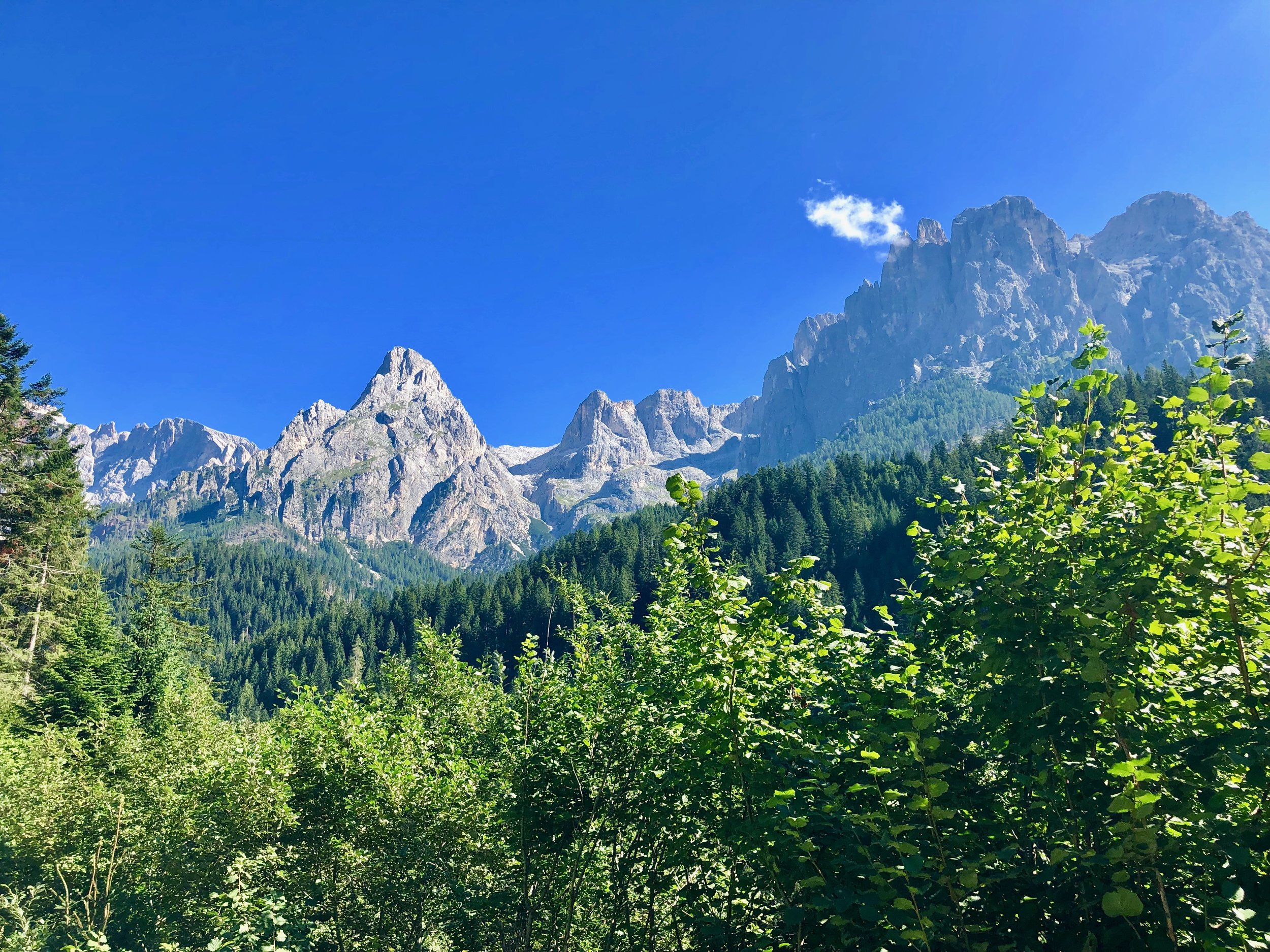 The Dolomites