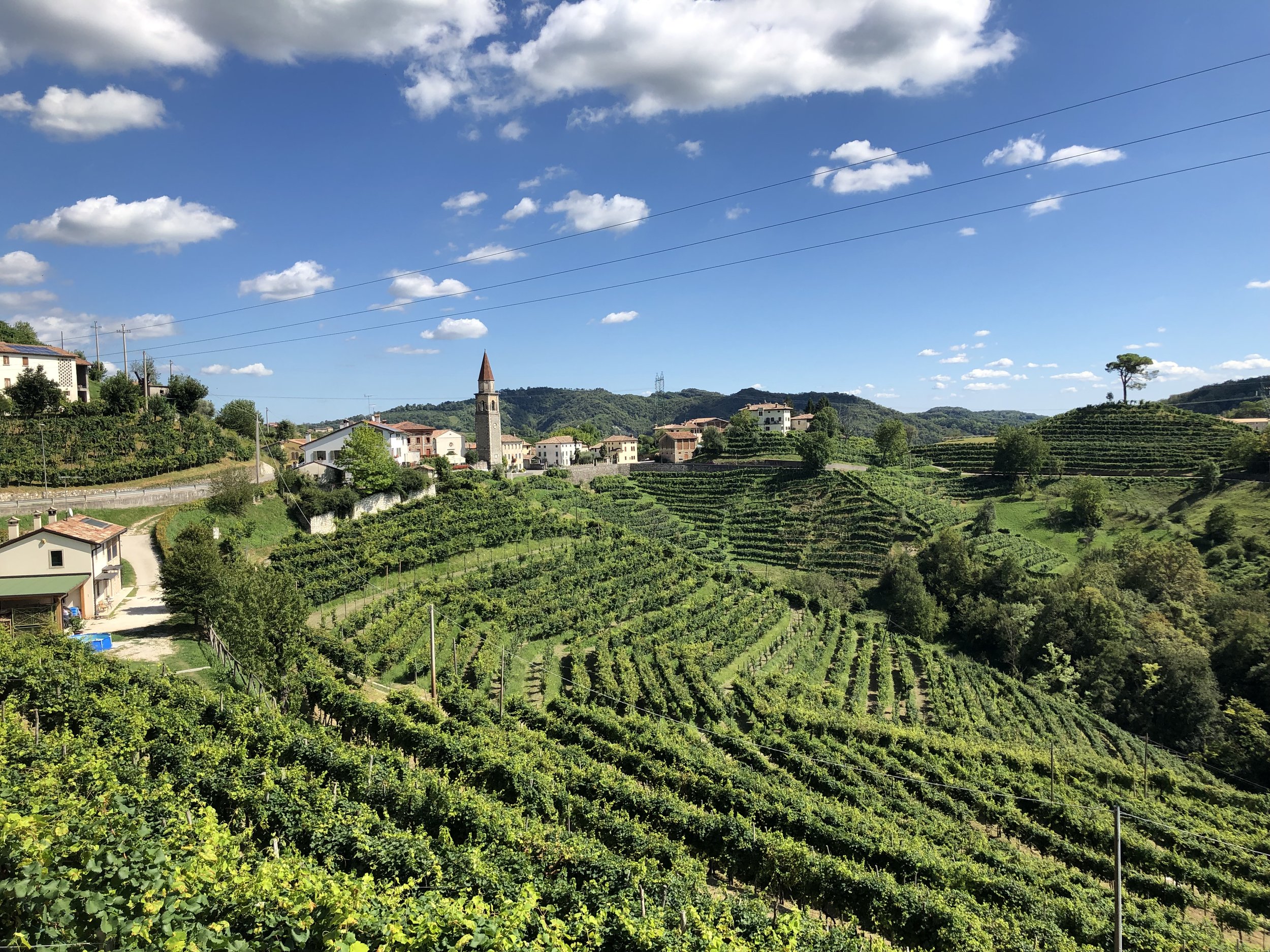 Proseccho Wine Region
