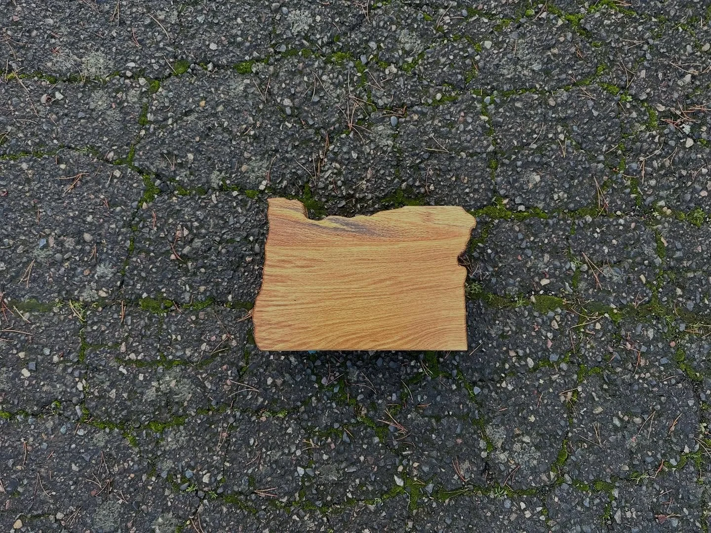 Love you, #oregon  I am rarely more proud to be a resident of this state and the city of #portland than when the $4!7 hits the fan, as it has so regularly for some years now.  #whiteoak