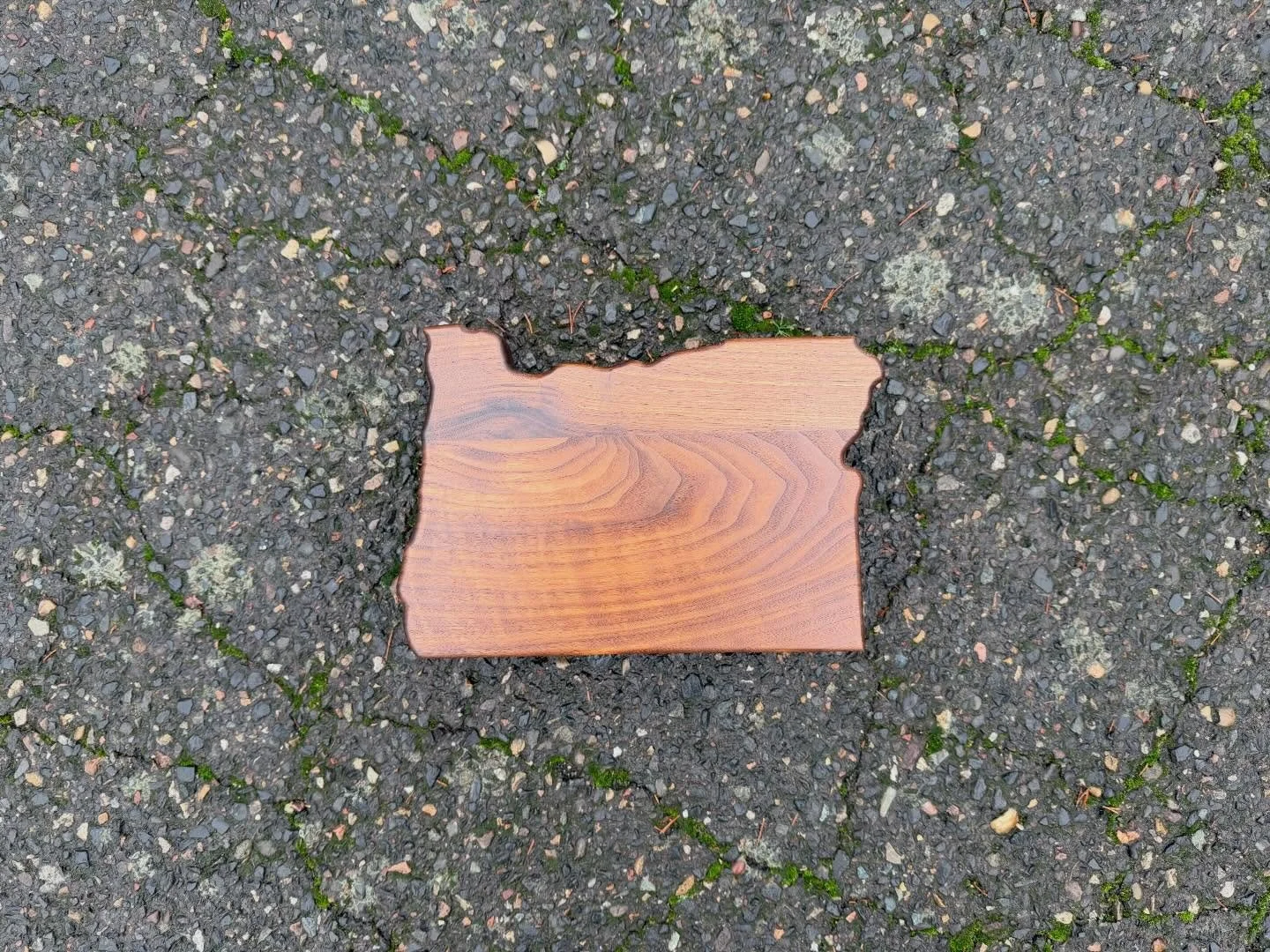 Misty morning here in #portland  #oregon  #blackwalnut