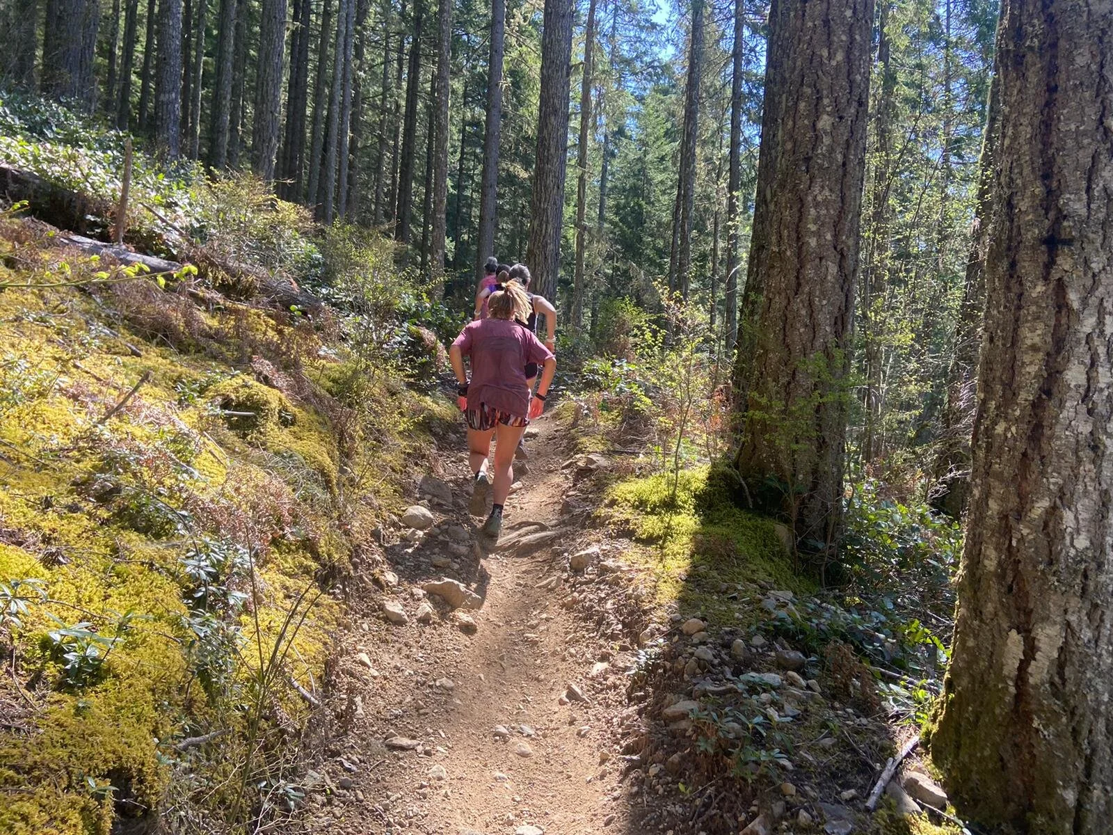 E141 Trail Tips: From road to trail