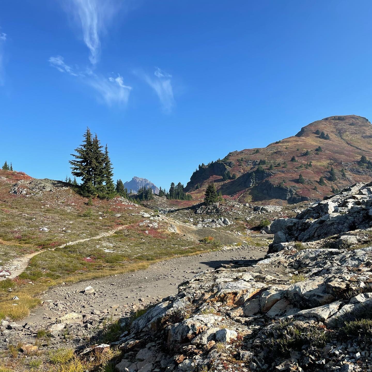 🏔October jogging date👫🏔
Now that I&rsquo;m one month into retirement I think I&rsquo;ll sign up for a 100mile with loads of climbing. Suggestions??

#trailrunning #raceselections #trails #mountains #baker #jog #date #trail #trailsisters