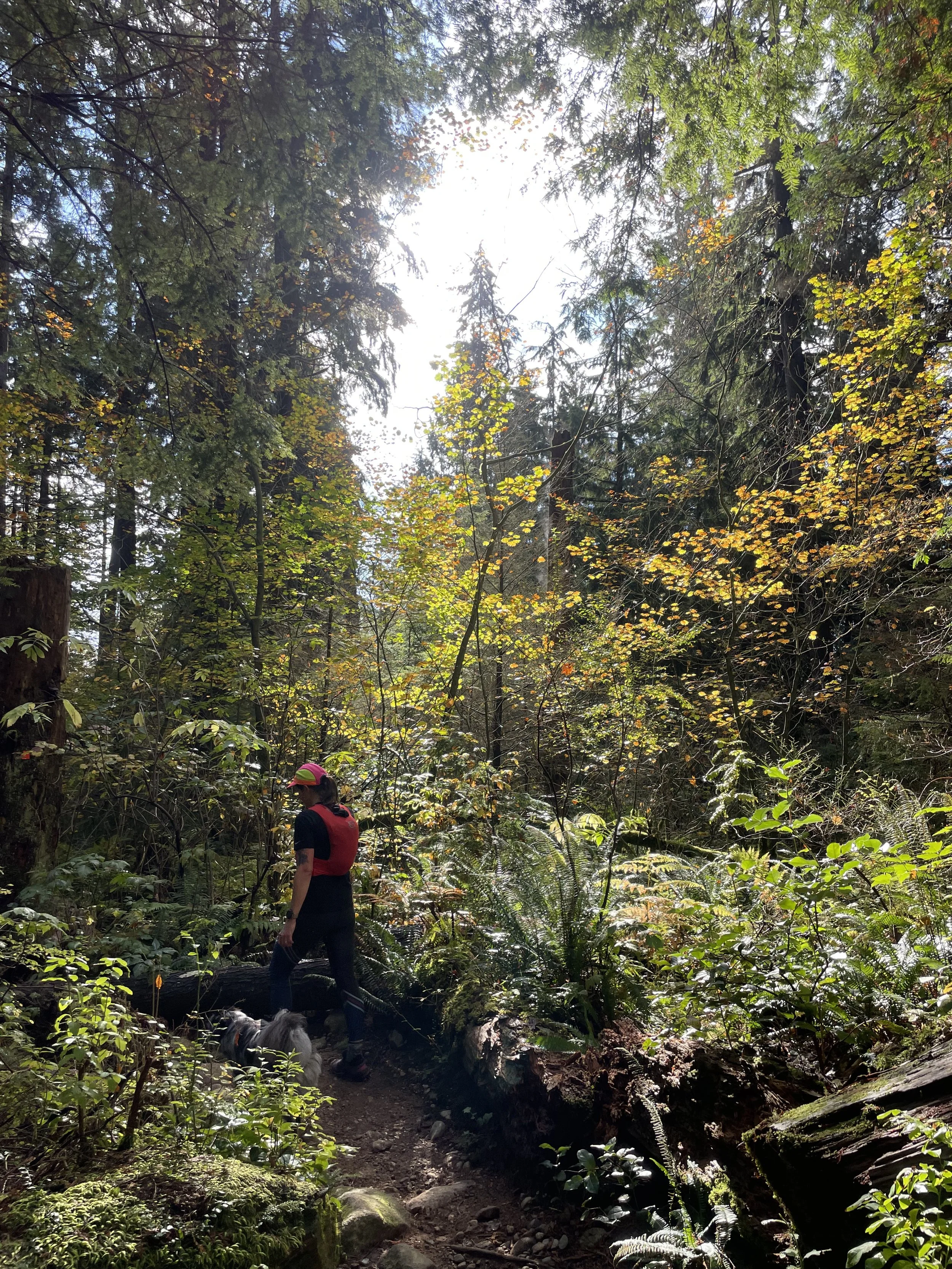 Trail Tips: Recovery, nausea, heat, and our fav episodes