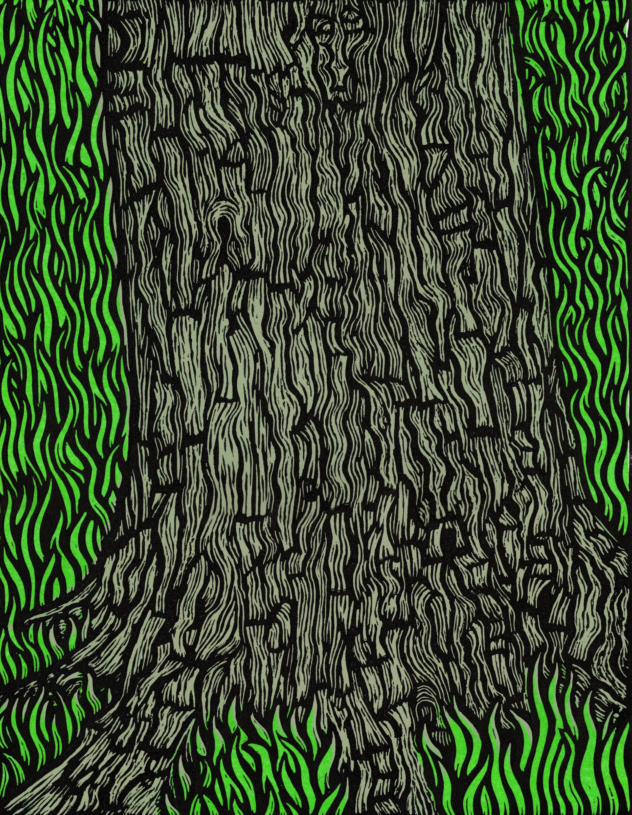 old trunk website.jpg