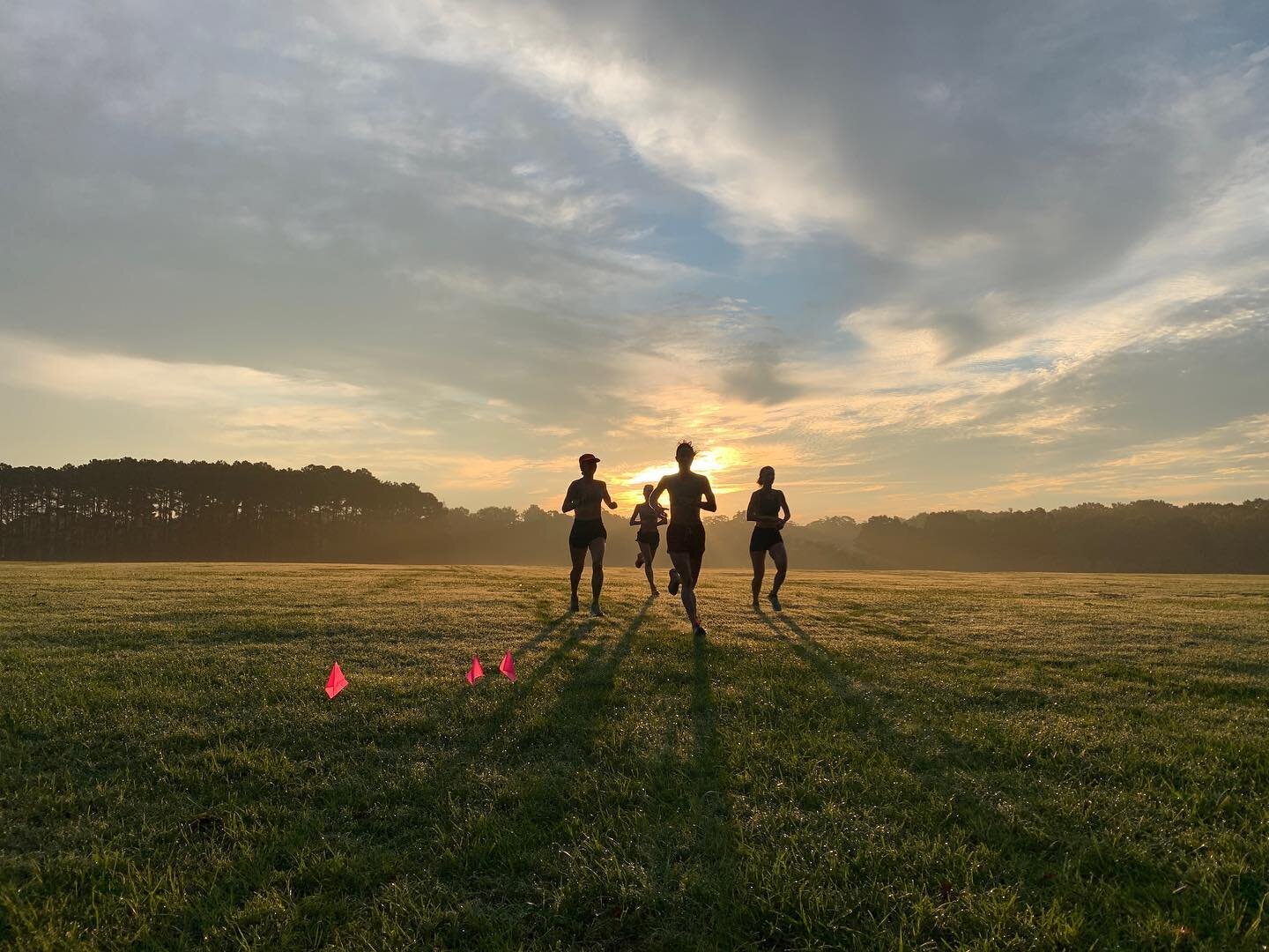 ✨Golden Girls✨ 

We were out in the dewy grass, with the humidity-you-can-see-and-feel at sunrise conditions @dixpark this morning for our first fall practice with @sjfurst. Fall races here we come!!! 🏃&zwj;♀️🍂 

Check out our race sched on our web