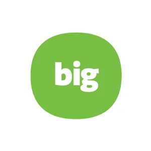 A Big Idea Group (Copy)