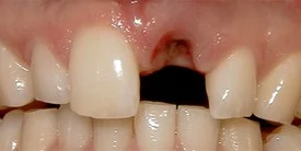 a370d35c-a77d-4db9-92a3-5374038d34ac_lg.jpg