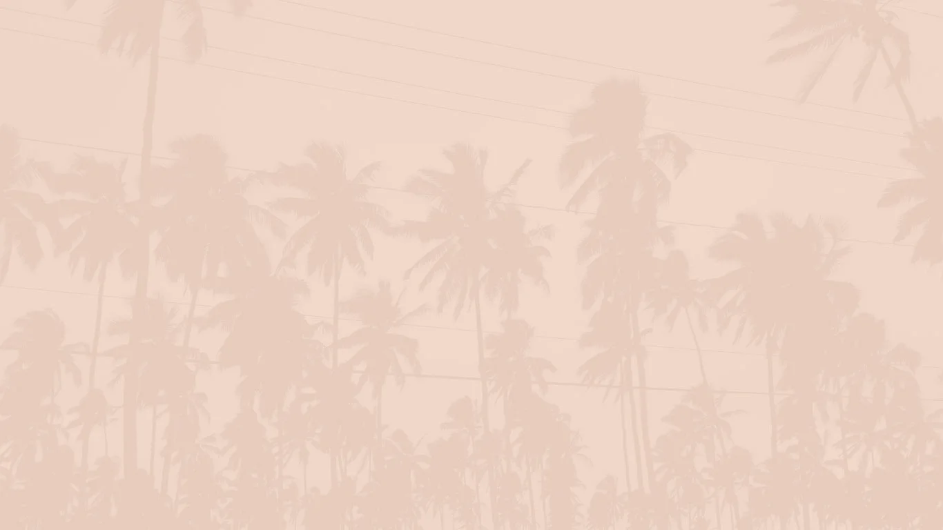 PPP_Webheader2.jpg