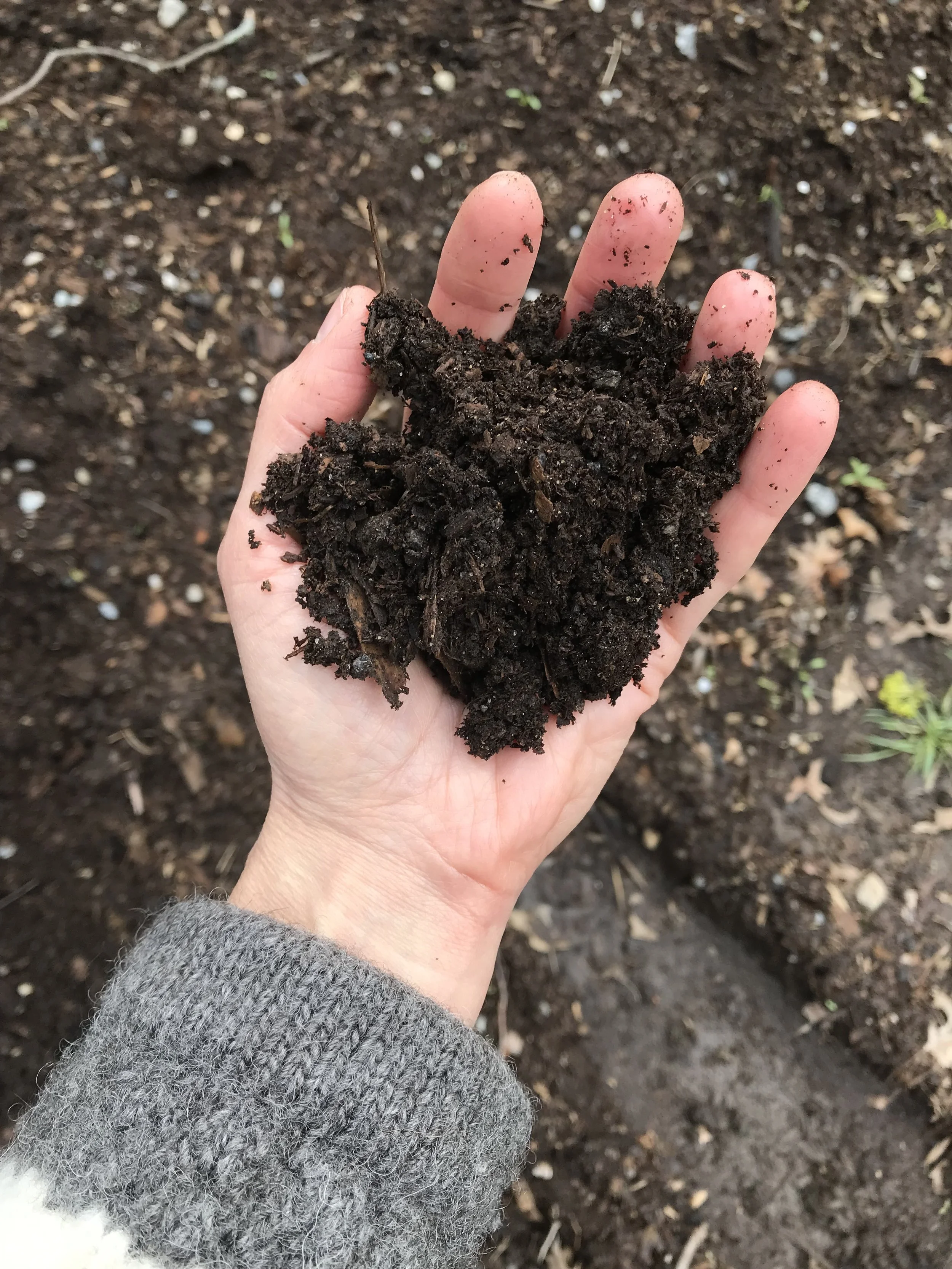 Compost .jpg