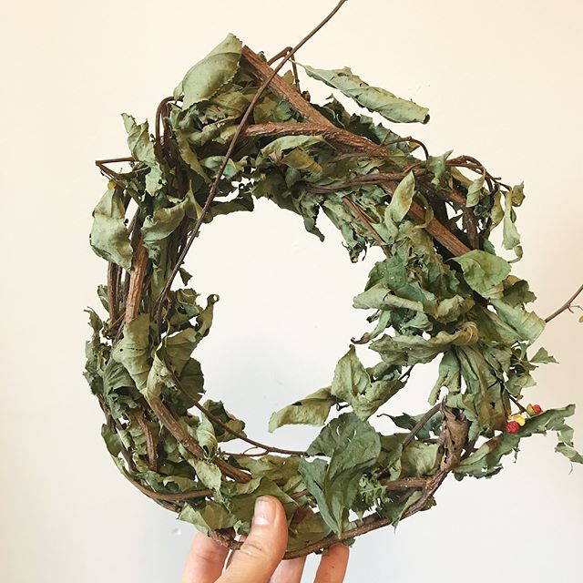 Wreath made from oriental bittersweet an invasive plant harvested by our friends at Agroforegen, farmers who work to conserve, cultivate and restore underutilized forests and agricultural land. They are clearing land to plant ginseng and we're using 