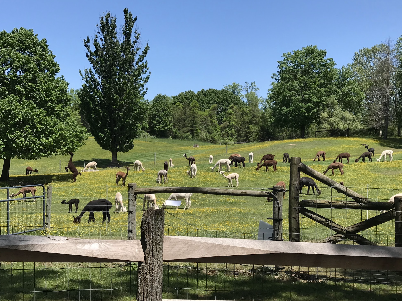 The 2026 Carbon Farm Tour