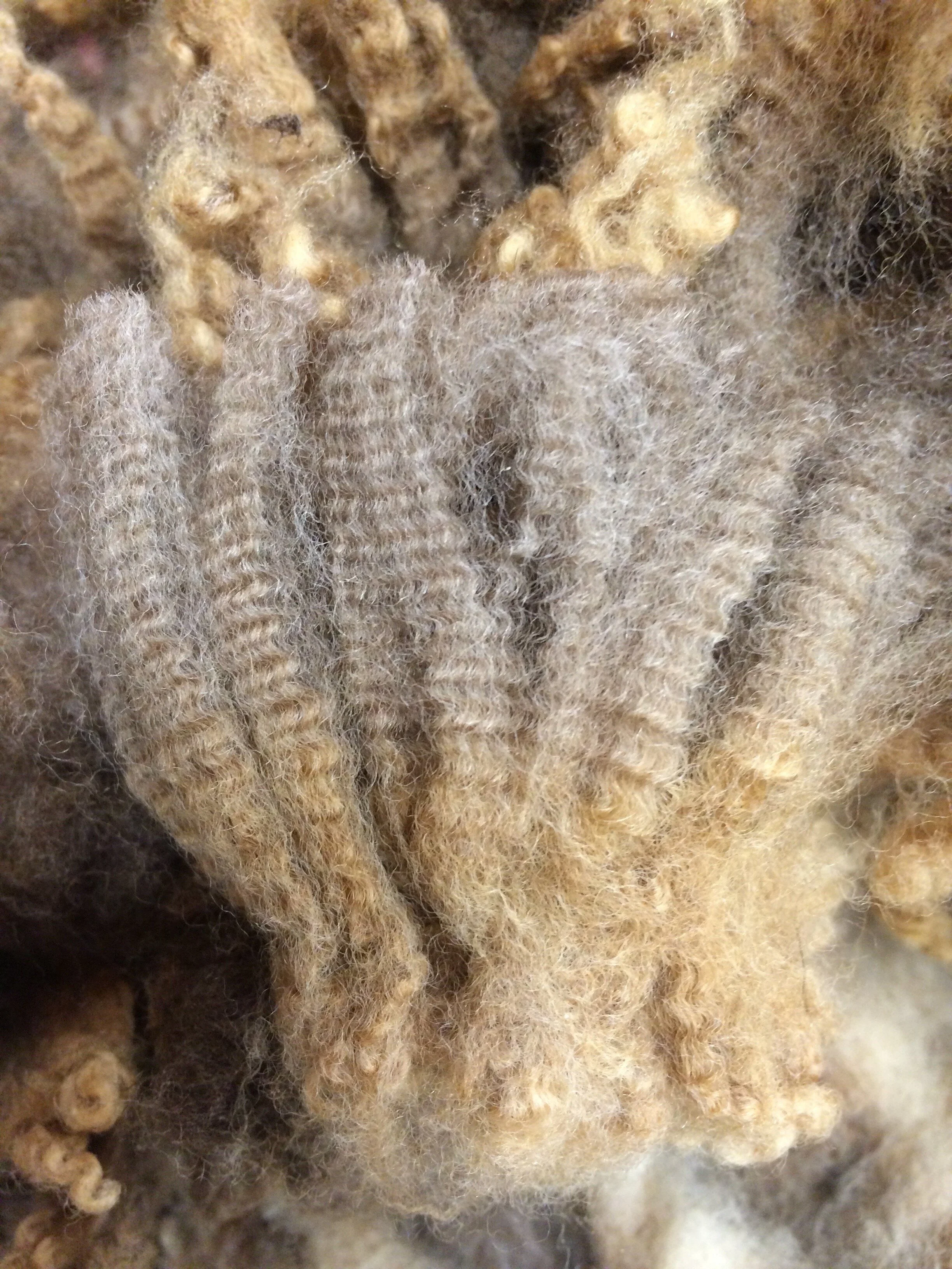 Wool Treating pre-dyeing treatment — NY Textile Lab