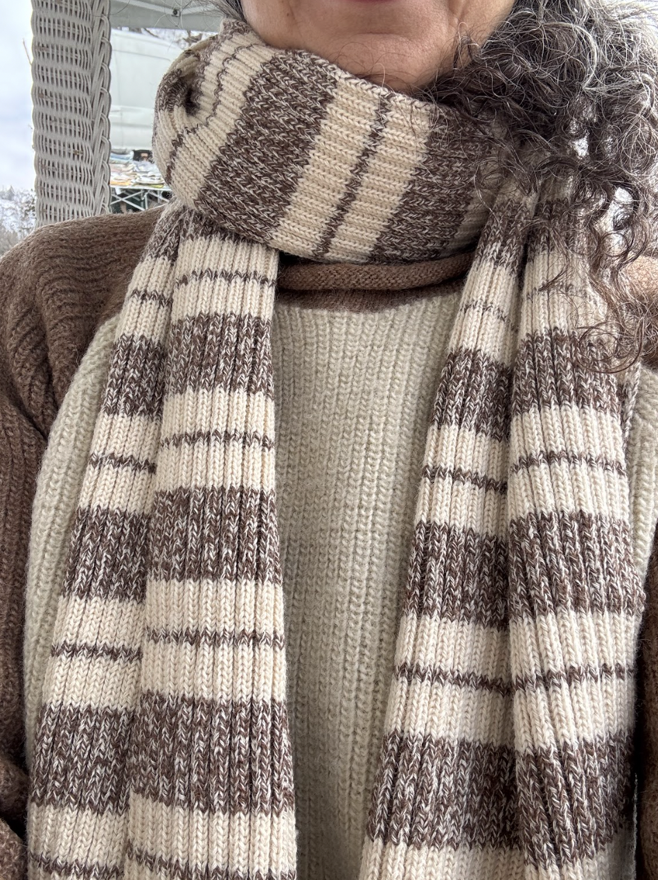 Screen Shot 2026-02-23 at 12.34.43 PM.png