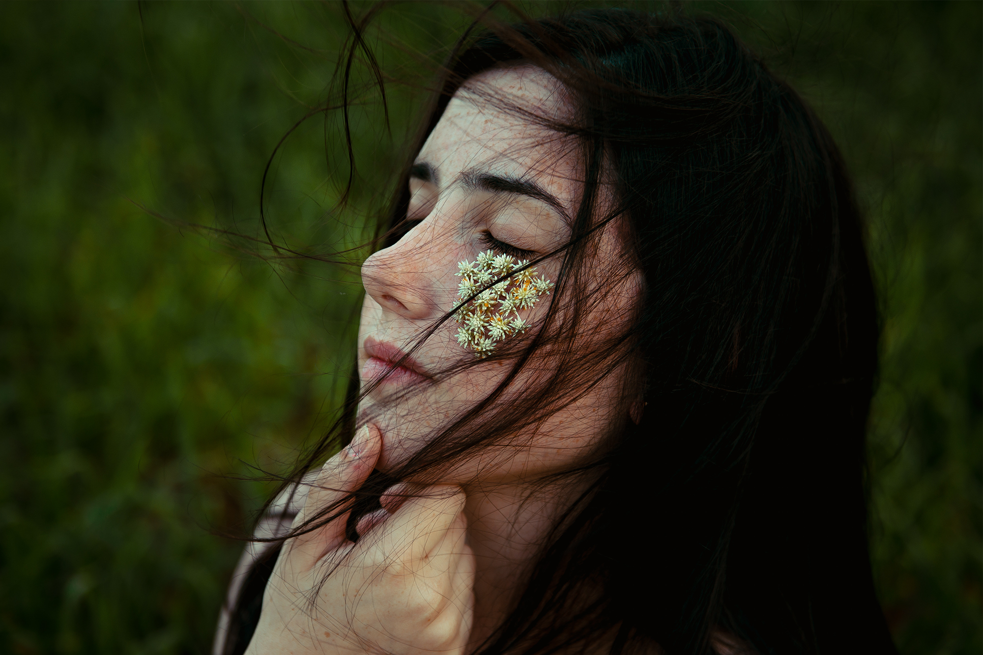 Regala salud y bienestar con In-Viso