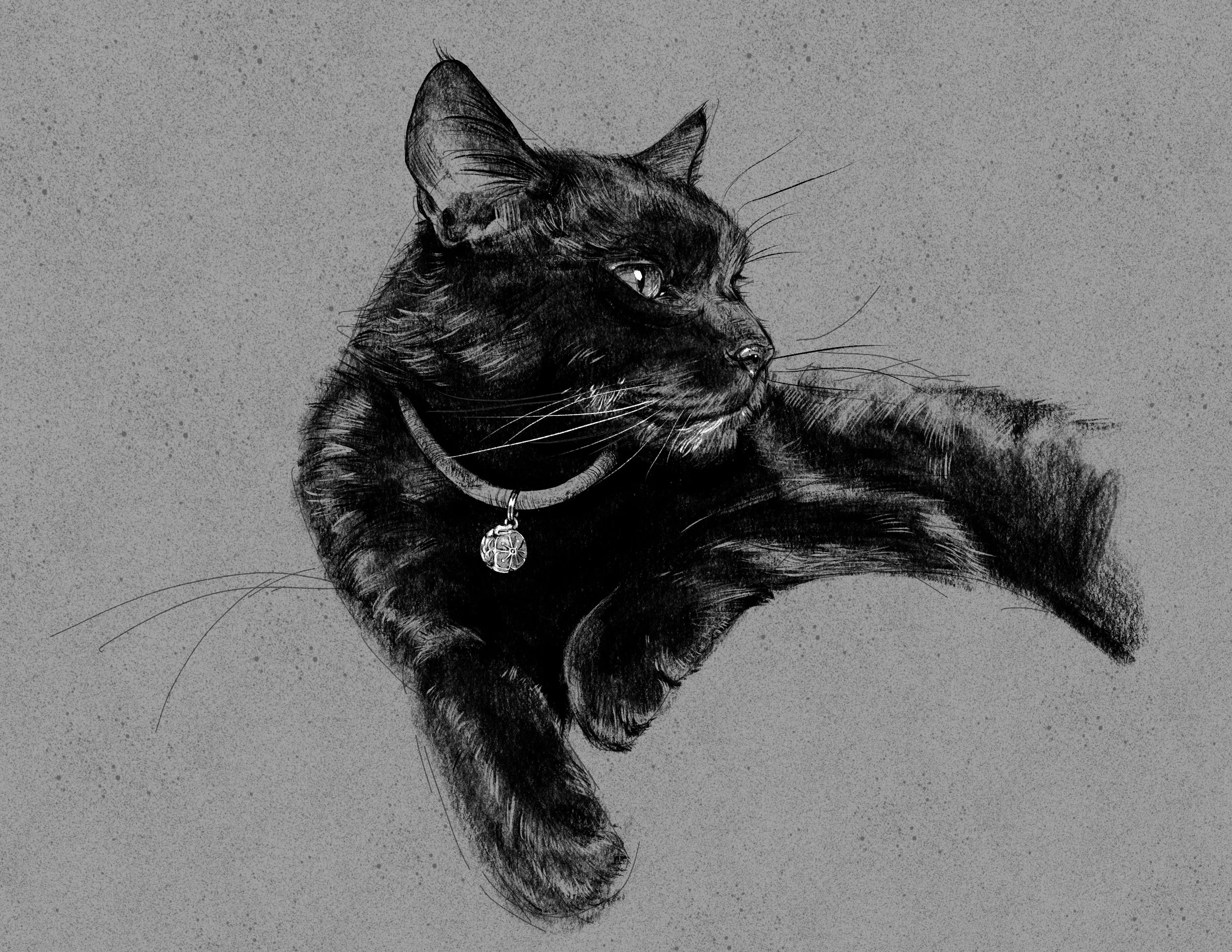 Big Paw
