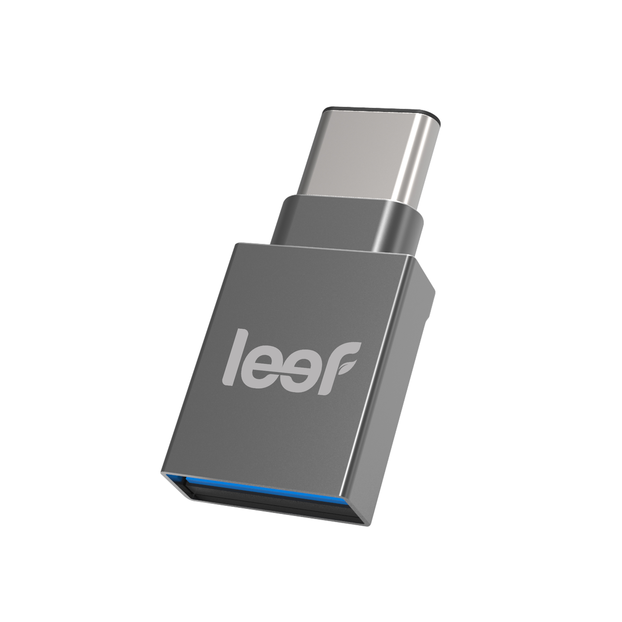 Leef_Bridge-C.jpg
