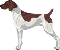 Liver&WhitePatchedGSP.jpg