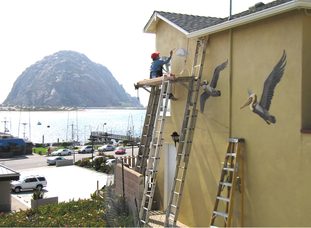 1.MarcieHawthorne,Artist Painting PelicansMural .jpg