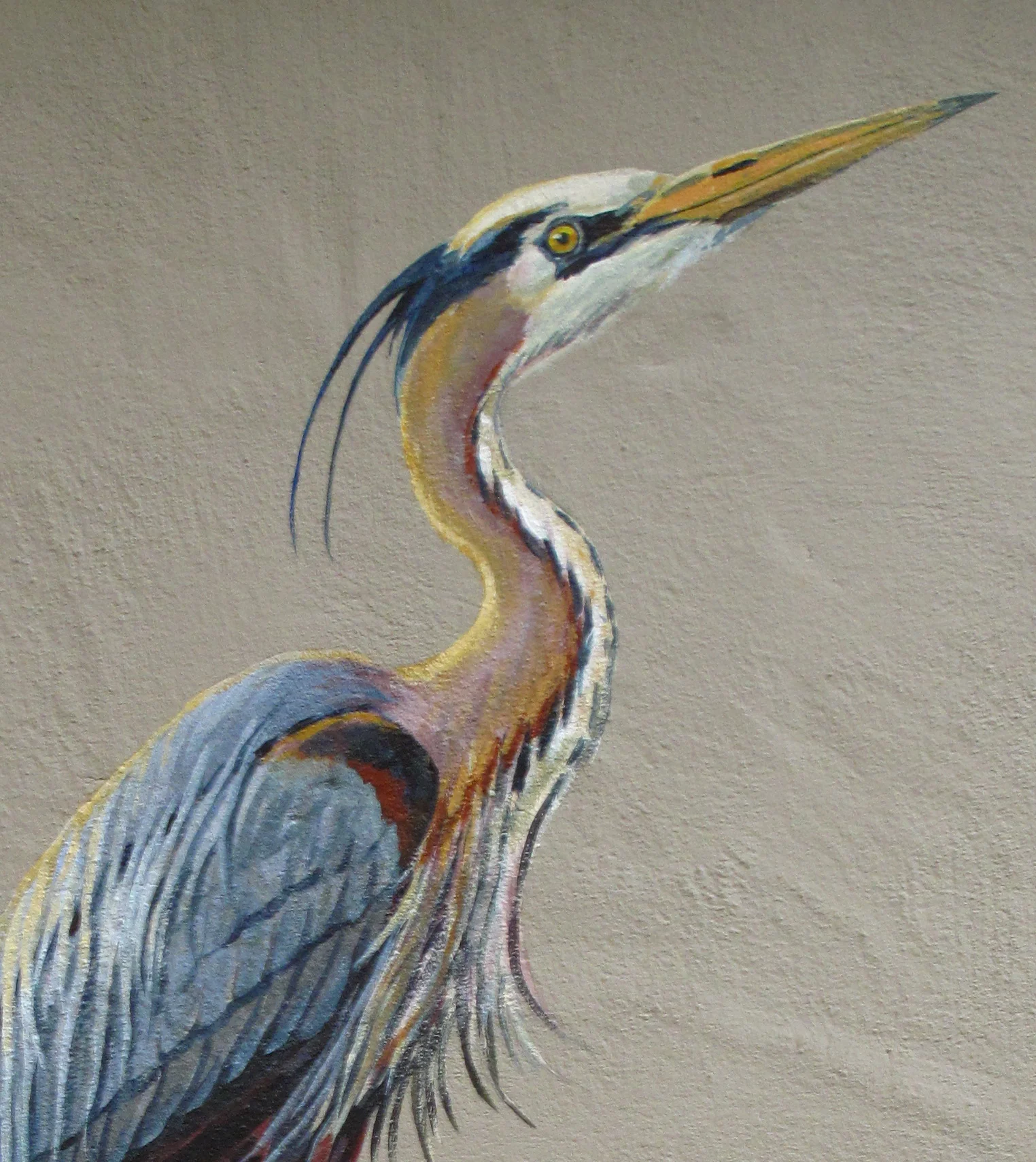 1b.Heron Head Detail.jpg