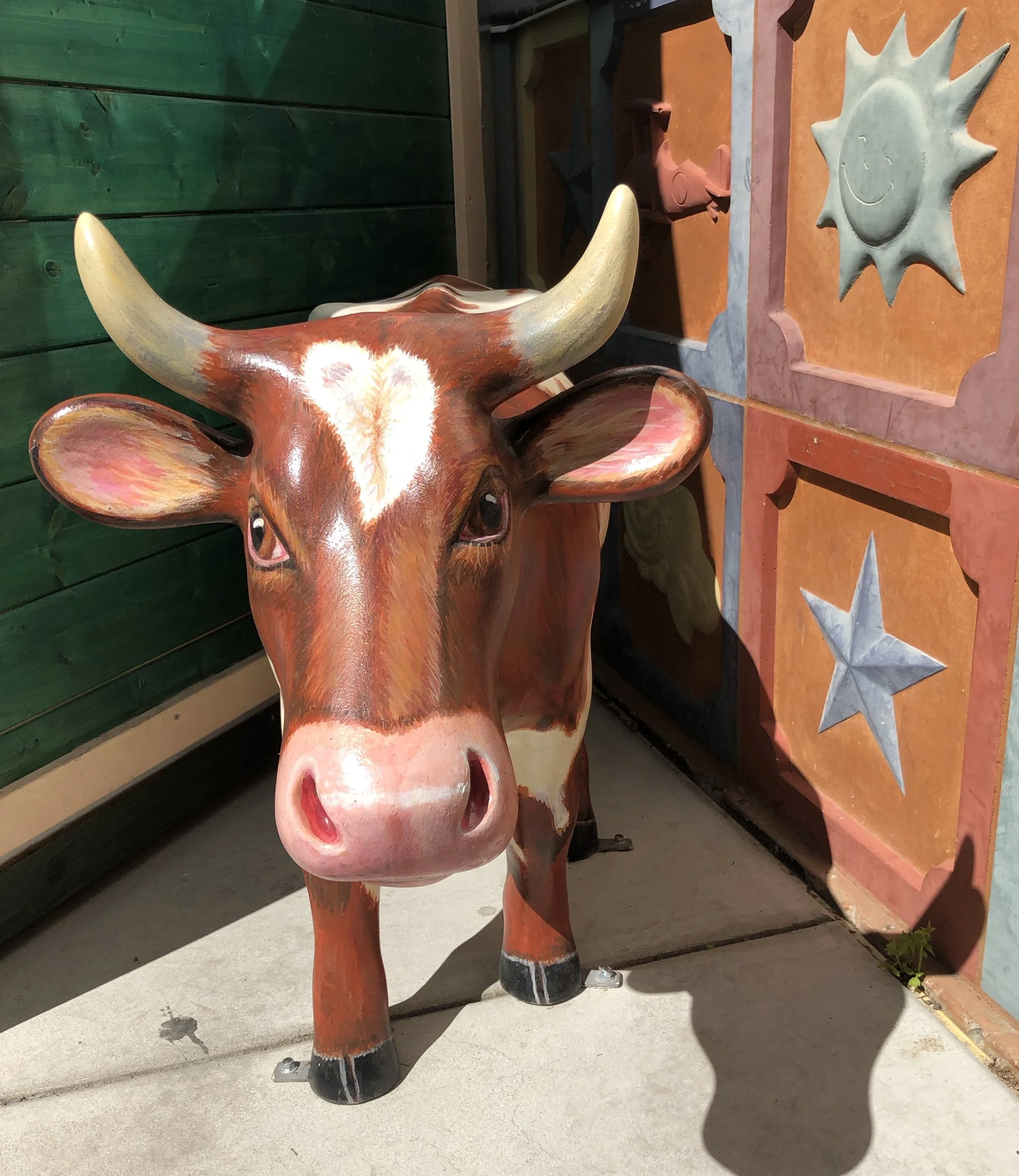 Long Horned Calf Head.jpg