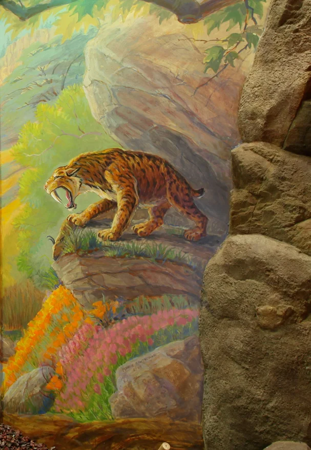 Saber-toothed Cat Detail.jpg