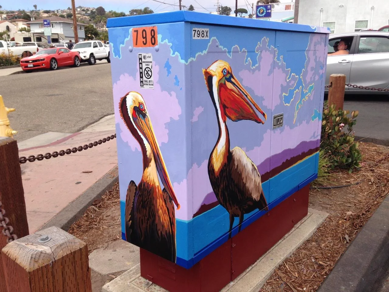 3.Gabby & coy Pelican.jpg