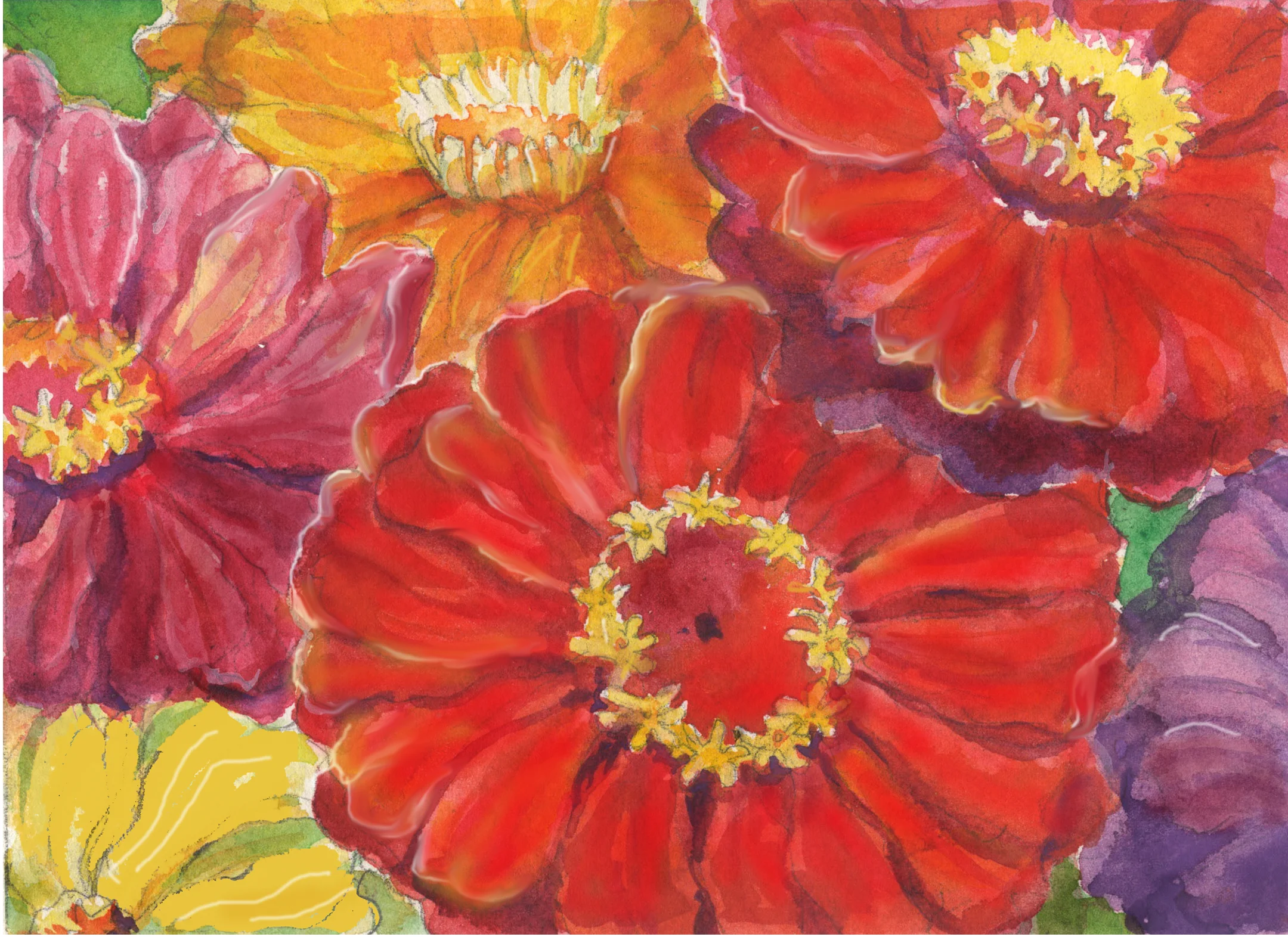 Zinnias WC at ros's.jpg