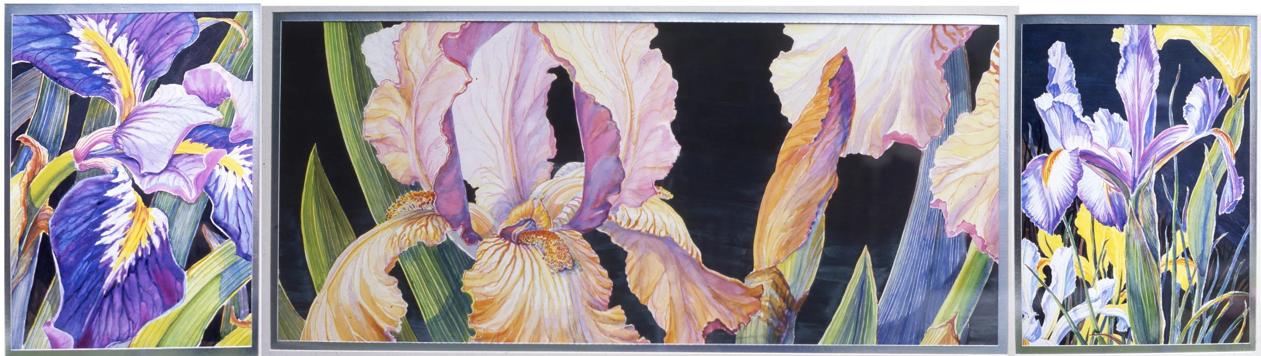 Iris Triptych LG.jpg