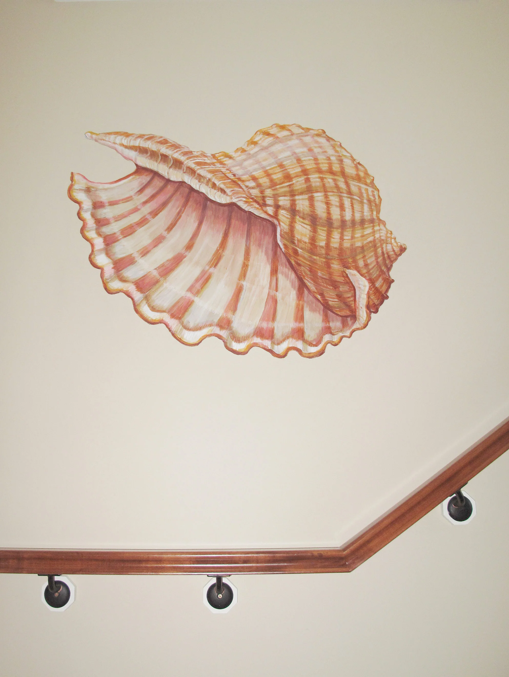 Giant-Tun-Shell-LgOptimized.jpg